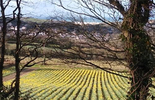 Three bed Holiday Home - Foto 6