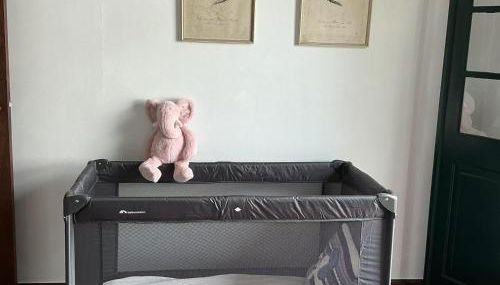 Casa Žerotín - Foto 4