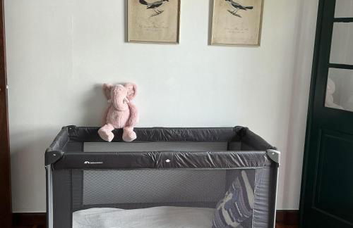 Casa Žerotín - Foto 4