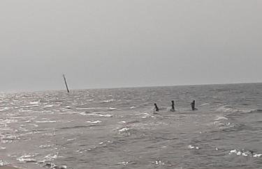 Apartament Pod Orzechem - Foto 34