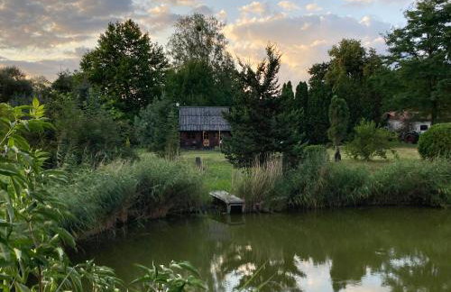 Domek Samice - Foto 58