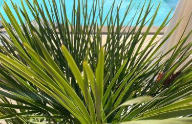 Ô Coeur Des Ocres - Photo 79