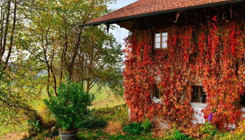 Hofatelier Menacher - Foto 5