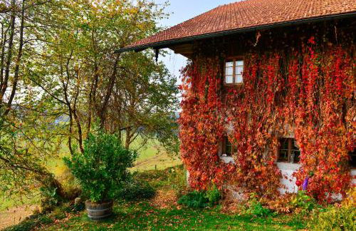 Hofatelier Menacher - Foto 5