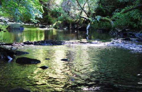 Herrenhaus Kallbach - 4 Sterne SUPERIOR - Foto 15