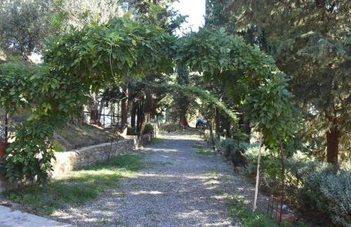 Azienda Agrituristica Biologica Il Querceto - Foto 25