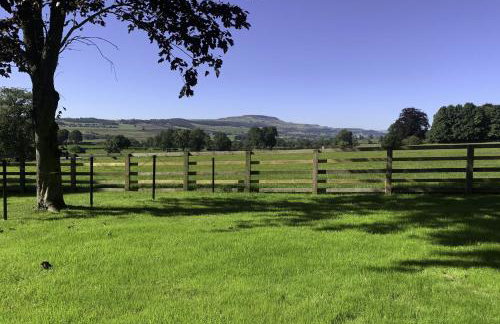 The Dog Kennels - Foto 5