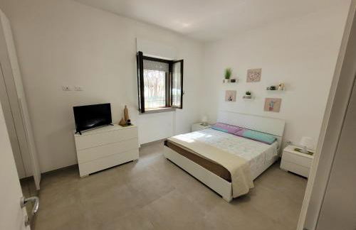 FRONTE PINETA MARE RIVABELLA - Foto 18