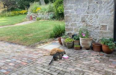 Amazing Arts & Crafts House - Foto 46