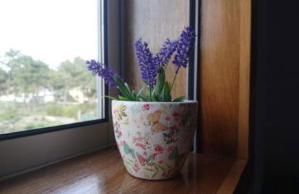 Beach House - Between Porto and Viana do Castelo - Foto 14