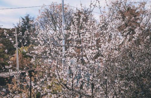 Villa Sara on Etna - Foto 38