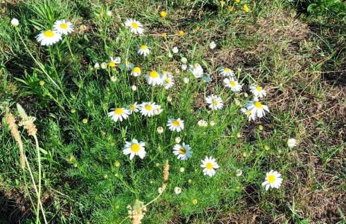 Gîte des Graves de Lilou - Foto 68