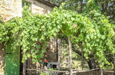 Agriturismo Podere Costarella - Foto 62