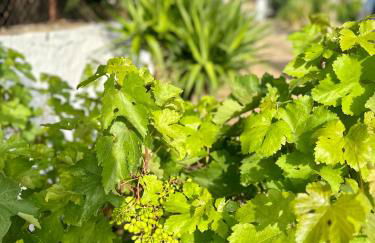 Aegean Endless Summer Villa Pefkos - Foto 58