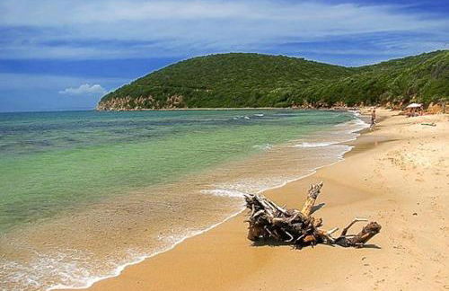 Appartamento in Villa - Foto 50