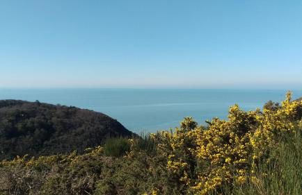 Les Madeleines - Foto 29