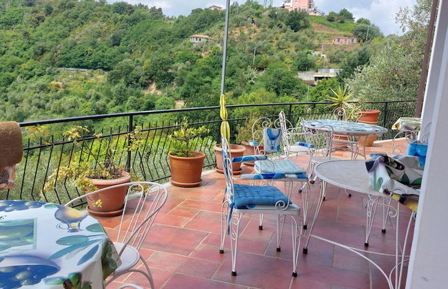 Oliva Azzurra - Foto 34