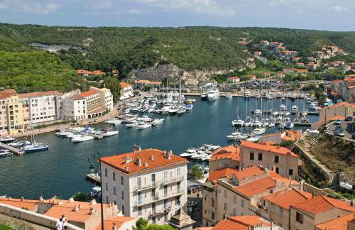 Les bougainvilliers - Foto 34