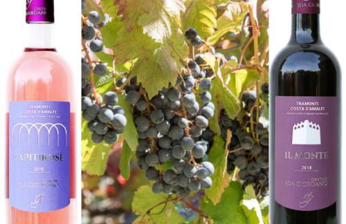 Agriturismo Il Raduno - Foto 7