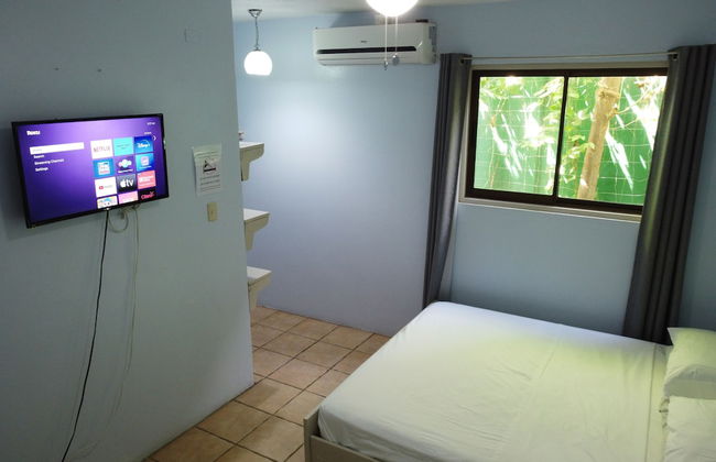 Bohemian Monkey - Foto 21