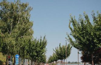 BelleVu studio apartman - Foto 49