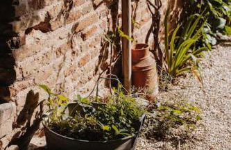 Torre dei Battagli-Dormi in una torre medievale - Foto 32