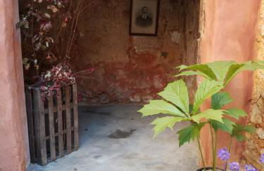 La maison jaune - Foto 7