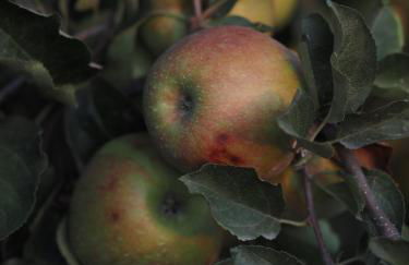 Casa do Muro Alto - Foto 43