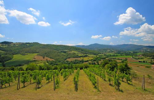 Holiday Home Montebello by Interhome - Foto 11