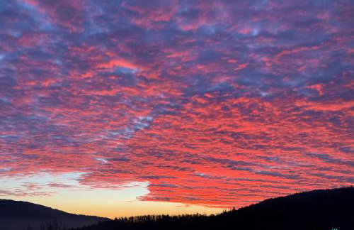 APARTAMENTY SZYNDZIELNIA NOWE BIZNESOWE STUDIO IDEALNA przestrzeń do PRACY i ODPOCZYNKU & PARKING - Workation - Bussiness Travel - Single Trip - Home Office - Delegacja - Służbowo - Foto 76