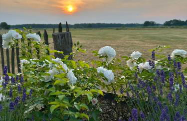 Q80 Appartement - Foto 43