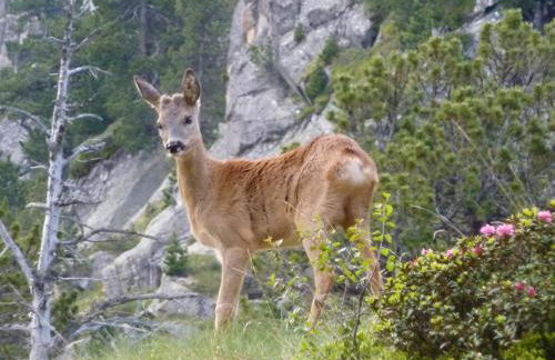 Casa rural cal Rei - Foto 91