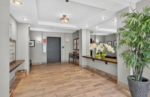 Free Parking - City Views - Near Attractions - Foto 32