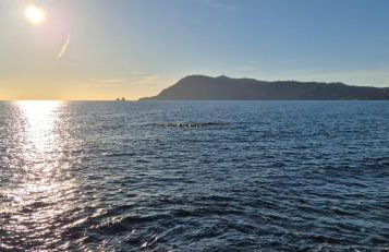 Cosy Rez jardin 1 chambre plage parking wifi - Foto 10