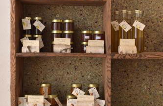 Pignathof Castanea - Foto 18