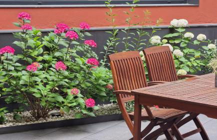 Apartaments y Habitacions Entre Volcans - Foto 11