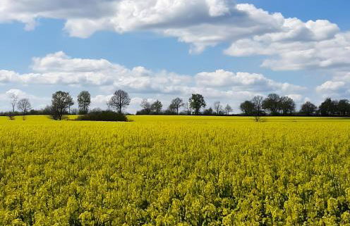 Küstenliebe-Fehmarn - Foto 25