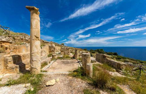 Nest - Family House - Foto 45