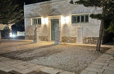 Amedi Villas Tinos - Foto 76