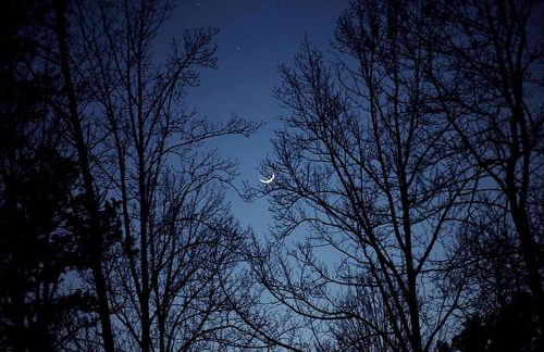 Family-Friendly Cabin Rental with River Views near Knoxville - Foto 16