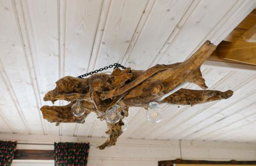 Zawilcowa Dolina - Foto 77