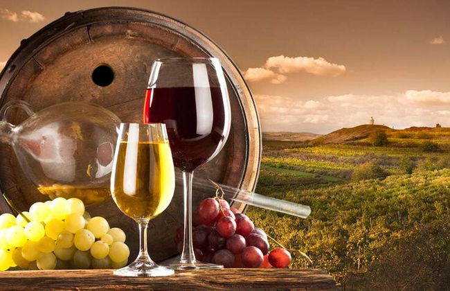 Visite des Bodegas Bilbaínas - Photo 6