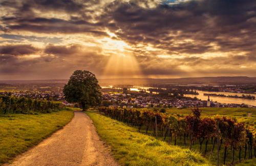 Ferienwohnung Reblaus - Foto 9