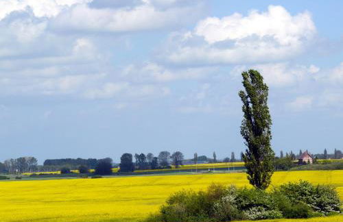 Appartement Meeresrauschen - Foto 35