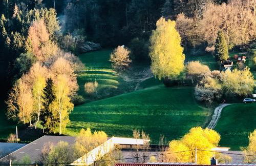 Bambus Wohnung - Photo 3