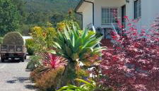 AFIFE "Porta da Alegria" - Photo 2, Garden view