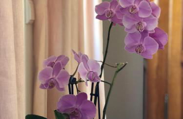 A&N Prestige Apartments "Attika" close to BASEL and Rhine river - Foto 7