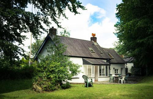 Garden Cottage Newcastle Emlyn - Foto 13