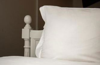 Albert 1er - Foto 38