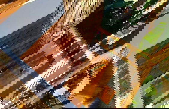 Casa Paula - Photo 57